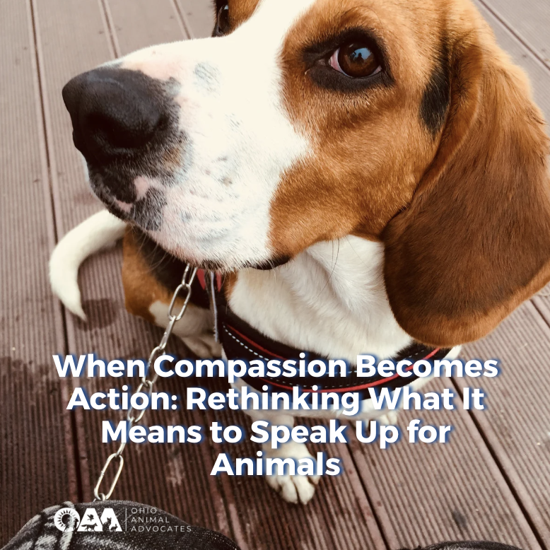 Screenshot 2026-03-25 at 10.54.58 AM.png