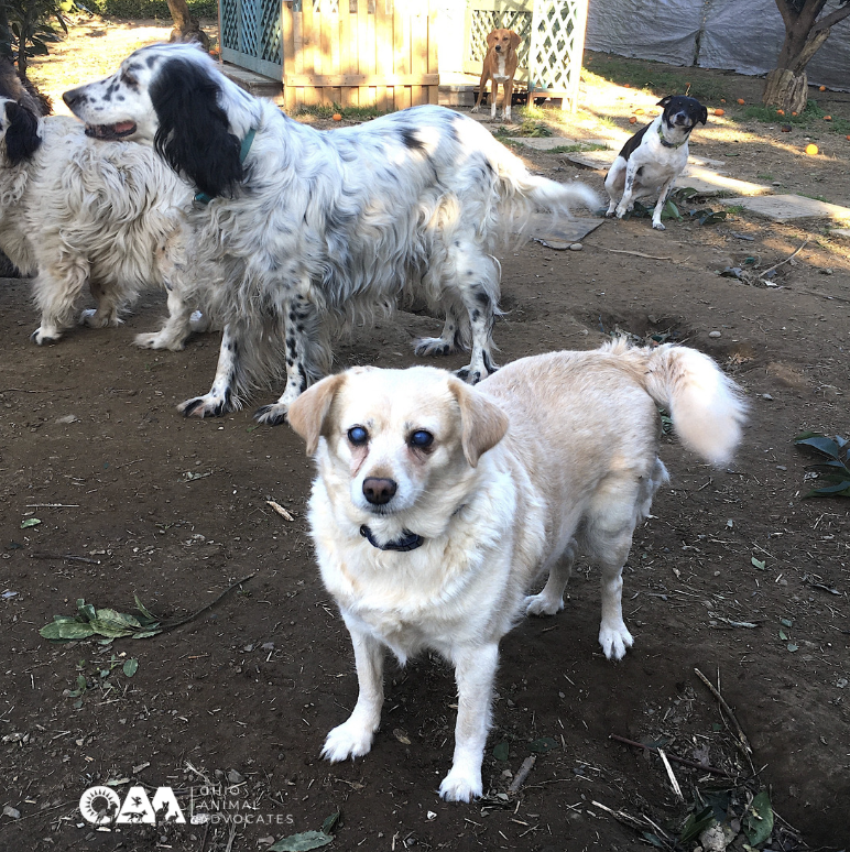 Screenshot 2026-03-25 at 11.16.27 AM.png