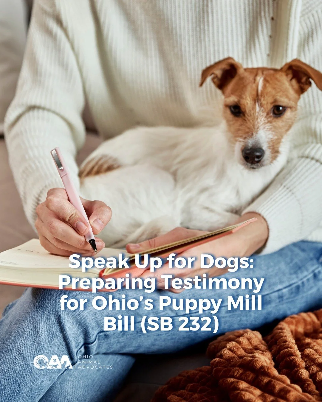Want to make a real impact for dogs in puppy mills? 

Submitting testimony for SB 232 is one of the most powerful ways to speak directly to lawmakers and you don&rsquo;t need to be an expert to do it.

✨ Start drafting now so you&rsquo;re ready when 