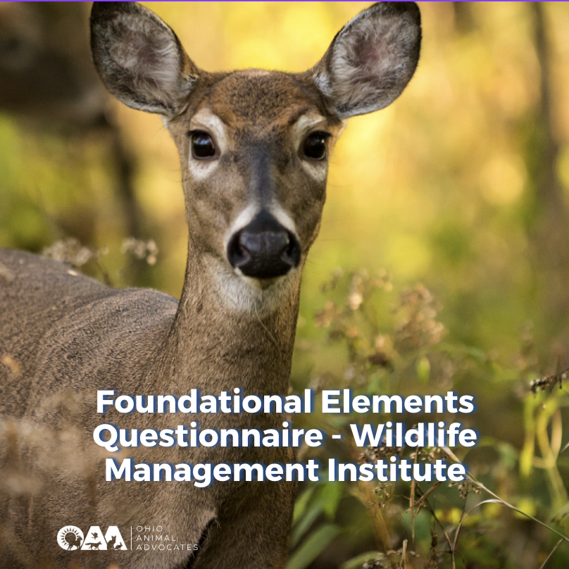 Foundational Elements Questionnaire - Wildlife Management Institute