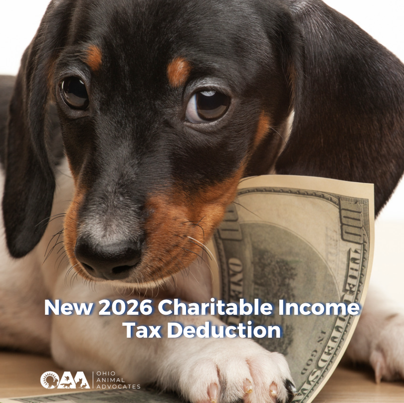 New 2026 Charitable Income Tax Deduction