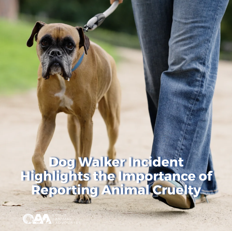 Screenshot 2026-04-10 at 9.26.40 AM.png