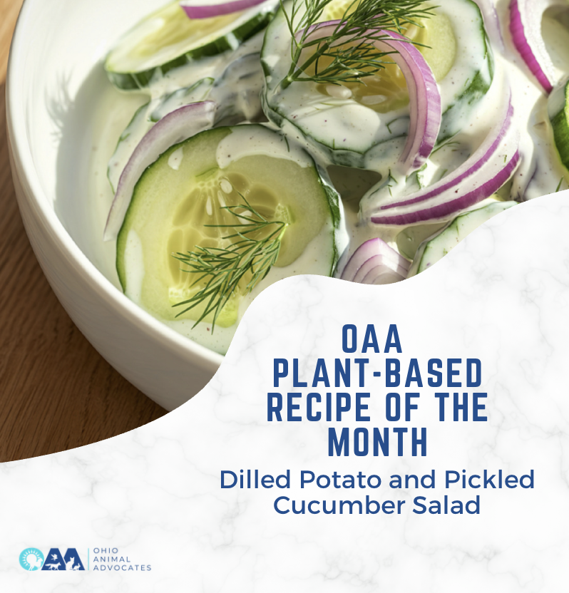 Screenshot 2026-04-10 at 1.51.31 PM.png