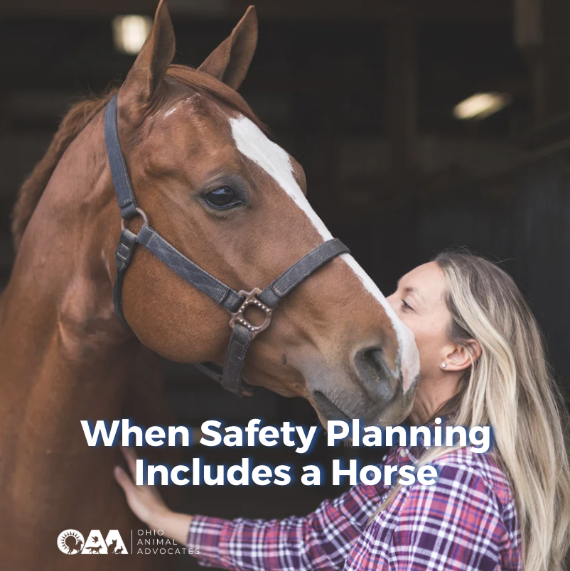 Screenshot 2026-04-18 at 4.05.04 PM.png