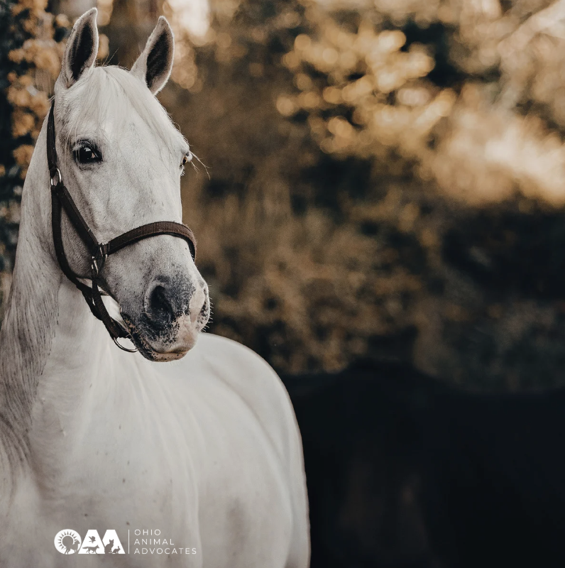 Screenshot 2026-04-18 at 4.20.49 PM.png