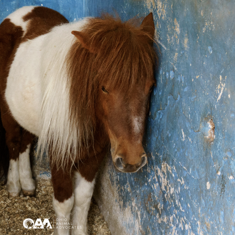 Screenshot 2026-04-22 at 2.08.37 PM.png