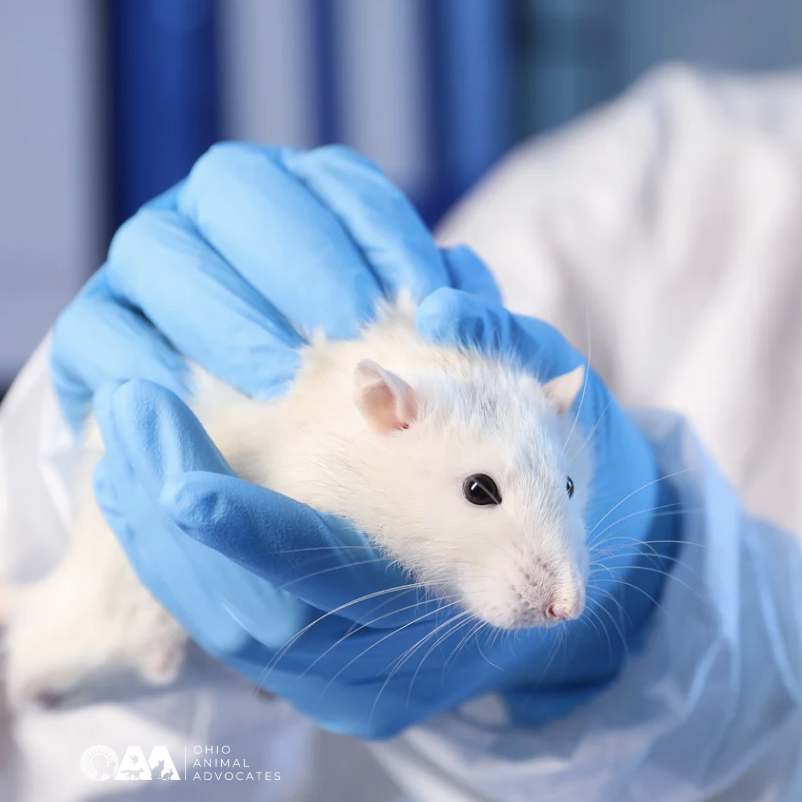 Screenshot 2026-04-22 at 3.36.04 PM.png