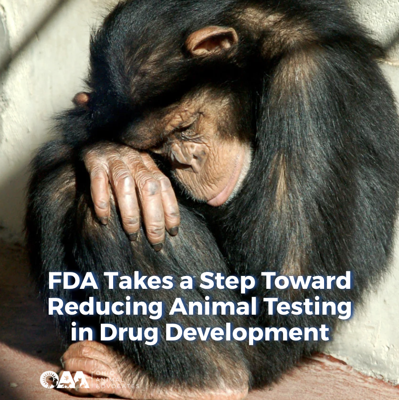 Screenshot 2026-04-22 at 3.35.55 PM.png