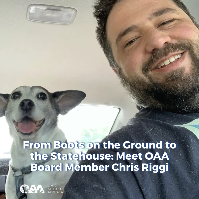 Screenshot 2026-04-22 at 4.02.11 PM.png