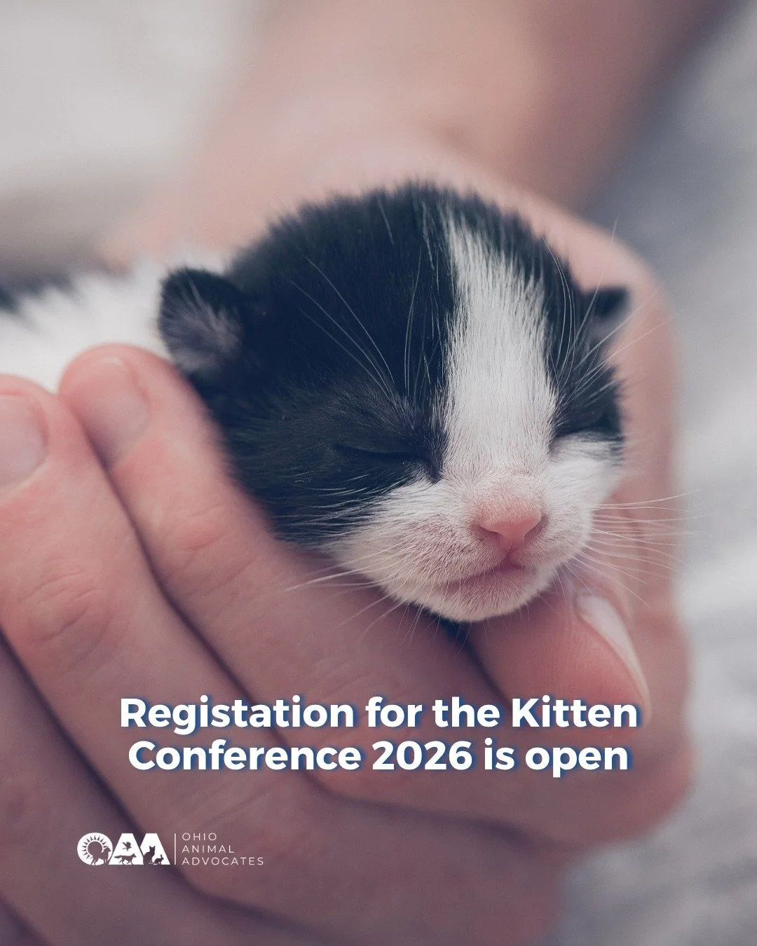 Kitten season is coming&hellip; are you ready? 🐾

Join experts from across animal welfare and veterinary medicine at the The Kitten Conference 2026 for two days of practical, lifesaving knowledge.

From neonatal care to community programs and burnou