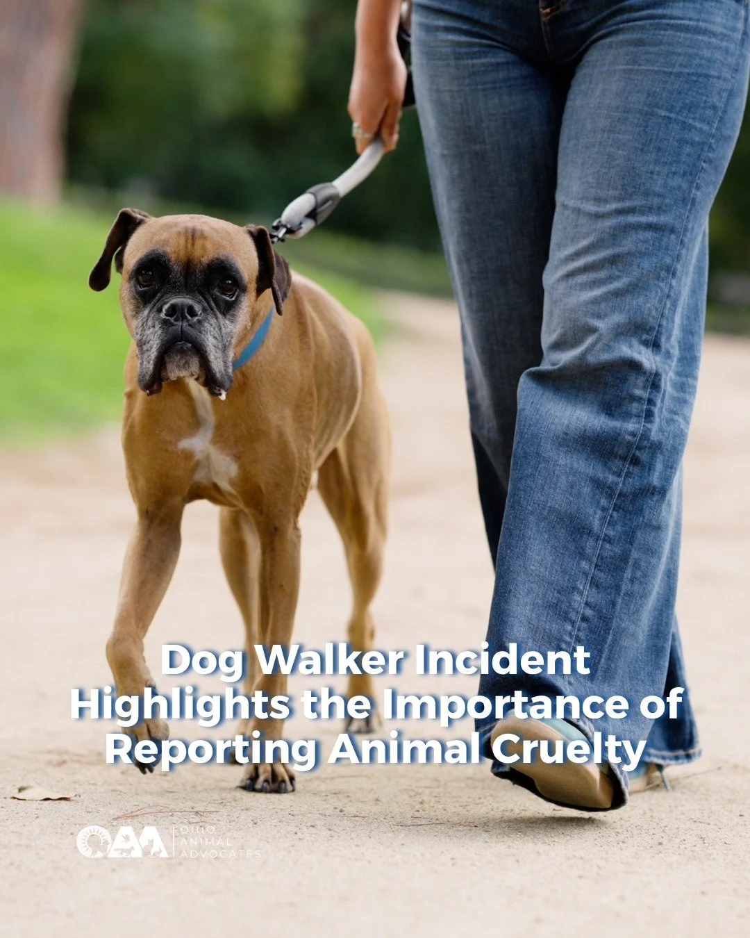 A recent case in Ohio involving a dog walker caught on video hitting a dog is a reminder that animal cruelty isn&rsquo;t always obvious and it doesn&rsquo;t happen overnight.

Knowing the signs and taking action can make all the difference. If someth
