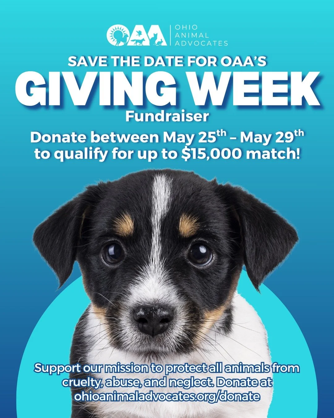 🐾 Mark your calendars! Giving Week is almost here!

From May 25th&ndash;May 29th, your donation to Ohio Animal Advocates can go even further with an opportunity to help unlock up to a $15,000 match. Every contribution supports our mission to protect