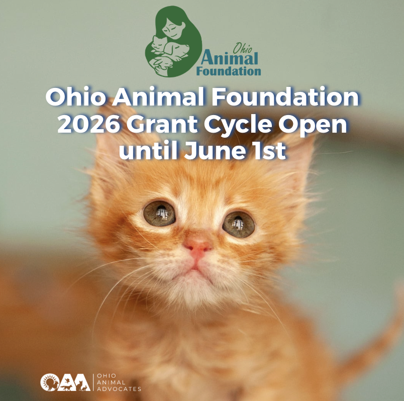 Ohio Animal Foundation 2026 Grant Cycle Open until June 1st