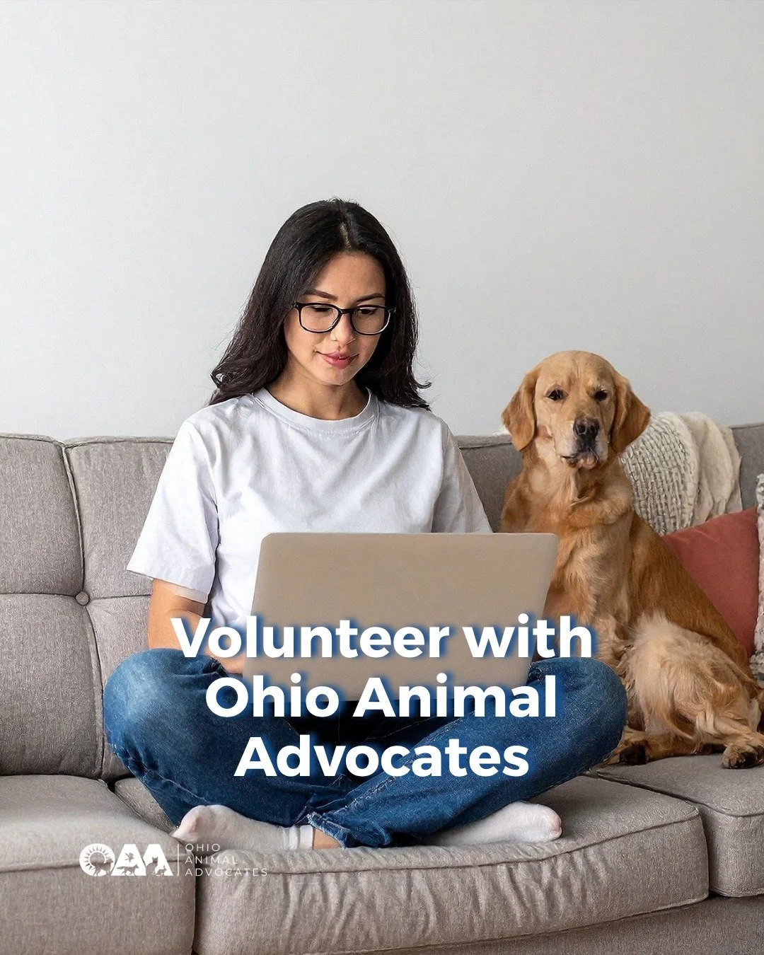 Did you know you can volunteer with Ohio Animal Advocates from the comfort of your home? 

OAA is looking for an individual (or two) to help manage our Statewide Directory. If you live in Ohio and are interested in supporting access to resources acro