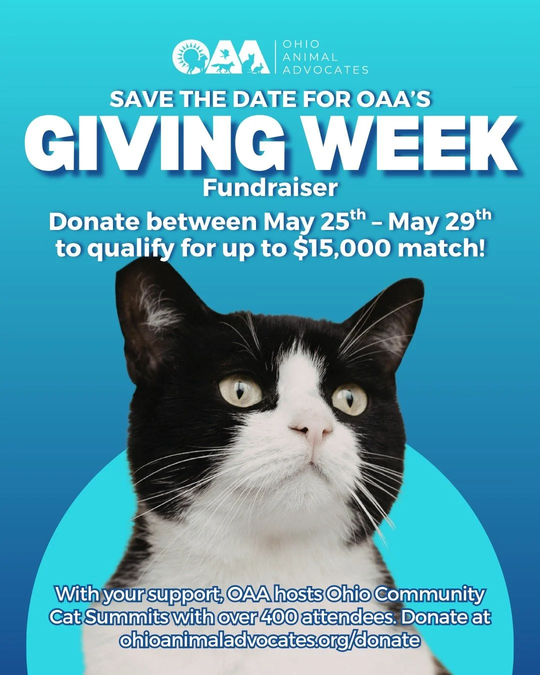 🐾 Save the Date for OAA&rsquo;s Giving Week Fundraiser!

With your support, Ohio Animal Advocates hosts Ohio Community Cat Summits that bring together more than 400 attendees dedicated to improving the lives of cats and communities across Ohio.

Don