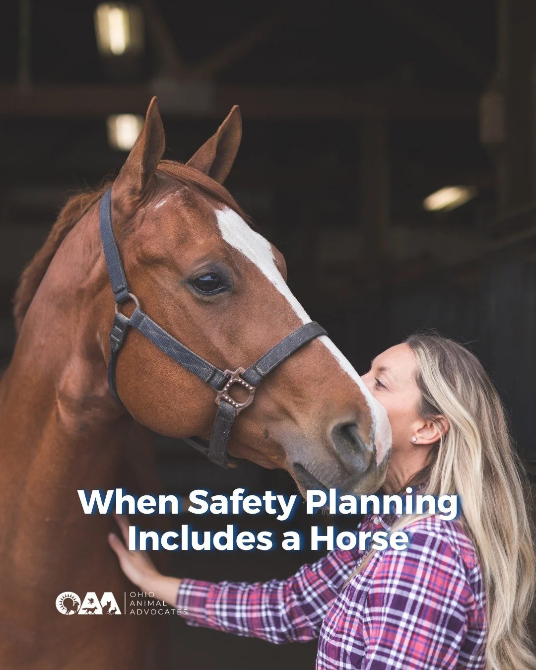 Survivors shouldn&rsquo;t have to choose between safety and their animals, but too often, they do.

It&rsquo;s time to expand how we think about safety, shelter, and support. 💙🐾

This story highlights a powerful (and overlooked) gap: what happens w