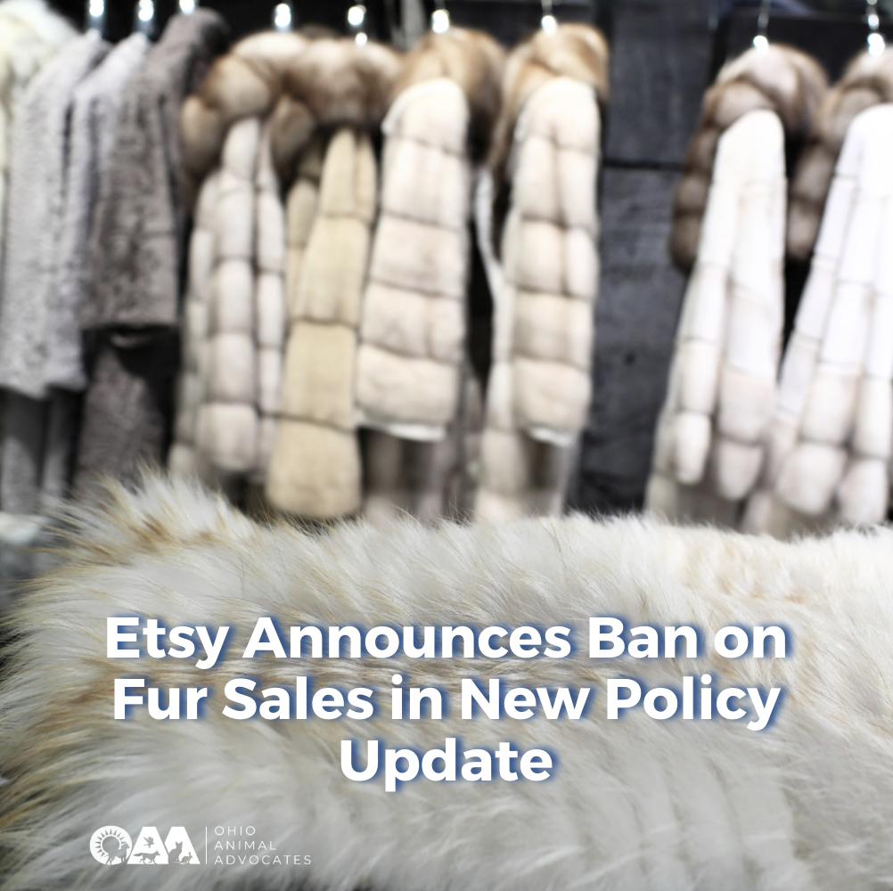 Etsy Announces Ban on Fur Sales in New Policy Update