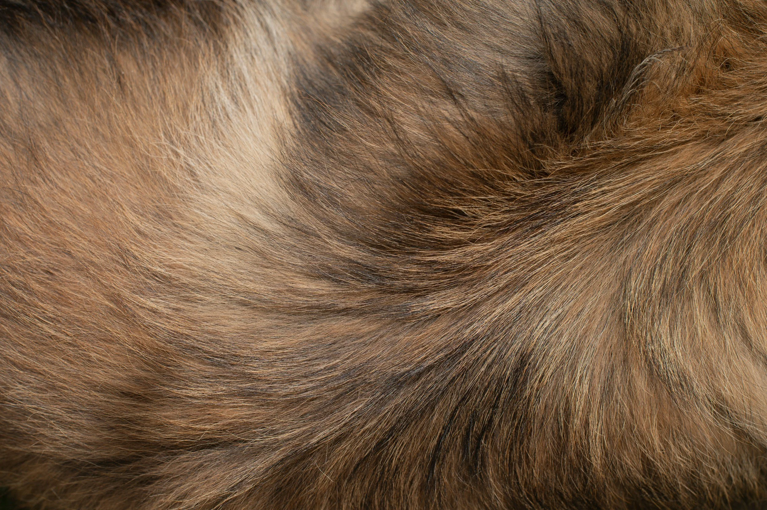 unsplash-image-mAragM5eoIc.jpg
