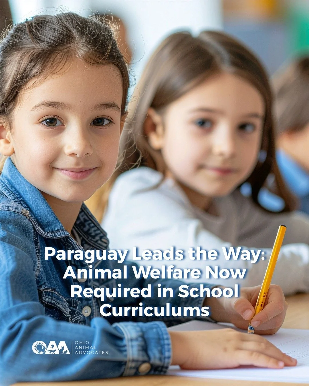 Paraguay just made animal welfare education REQUIRED in schools 👏 Teaching empathy. Preventing cruelty. Building safer communities.

What if Ohio did the same?

💬 Tell us: Should humane education be part of every school curriculum?
🐾 Read more at 
