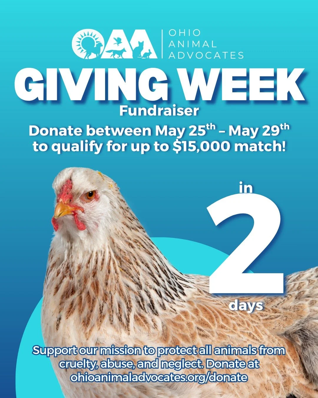 ⏳ 2 Days Until Giving Week!

Giving Week is almost here! Every donation helps support our work to protect animals from cruelty, abuse, and neglect across Ohio. 🐾

Donate May 25th&ndash;May 29th and help us qualify for up to a $15,000 match at ohioan