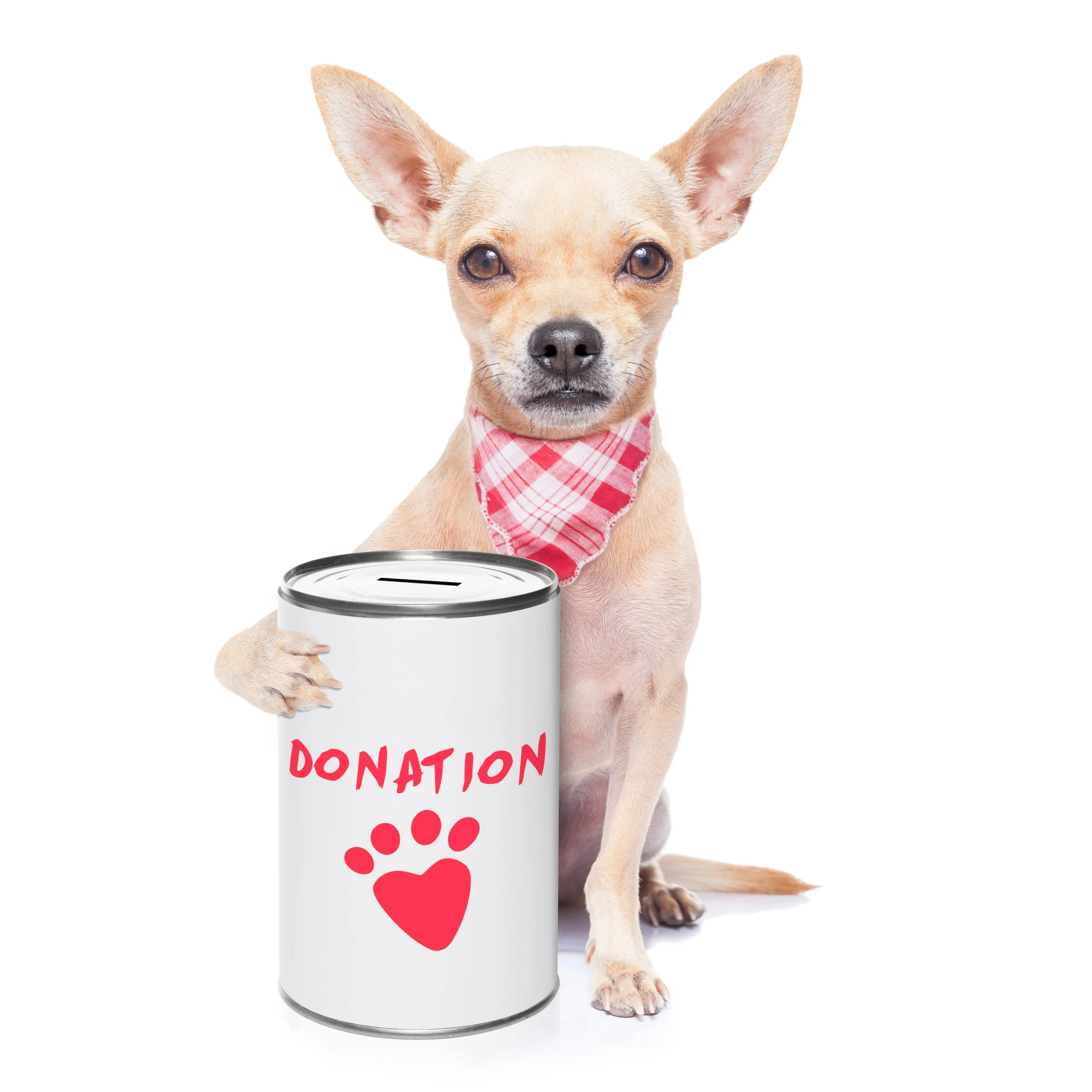 2026 Charitable Gift Income Tax Deduction for Non-Itemizers