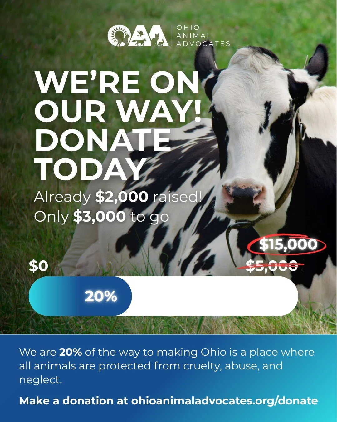 🎉 Giving Week is here and thanks to your incredible support, we&rsquo;ve already raised $2,000 for animals across Ohio! ❤️🐾

There&rsquo;s still time to make an impact! Donate between May 25th&ndash;May 29th to help us qualify for up to a $15,000 m