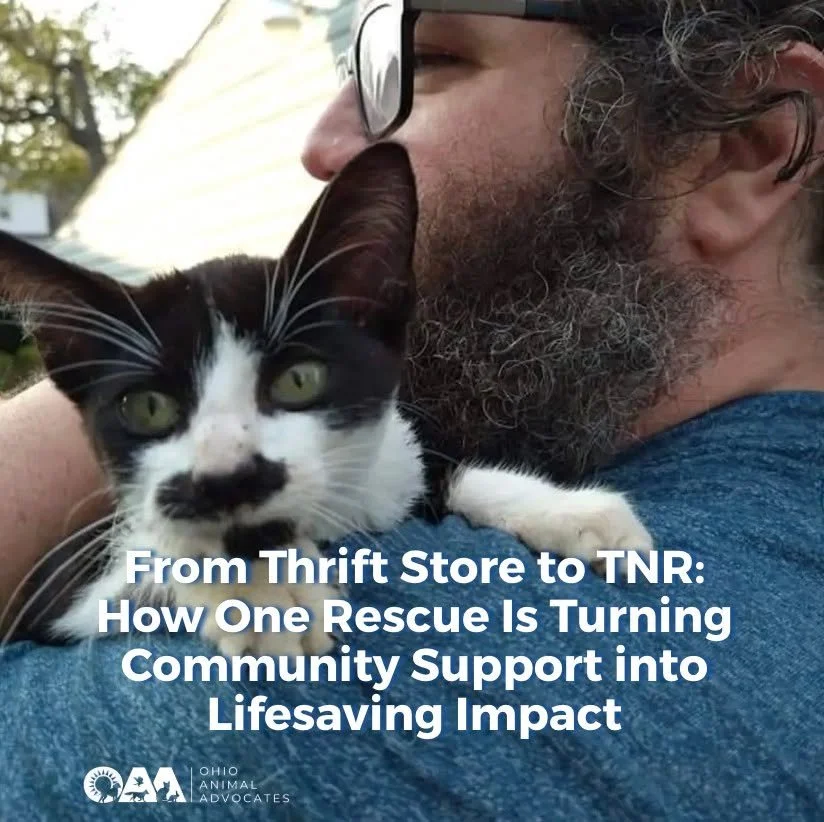 @riggirescue is turning donated items into funding for TNR through a volunteer-run thrift store. Visit CLAWS (Cats Lives Are Worth Saving) at 3124 9th St SW, Canton, OH, 44710

💬 Would you shop (or donate) to support a rescue like this?

Read the fu