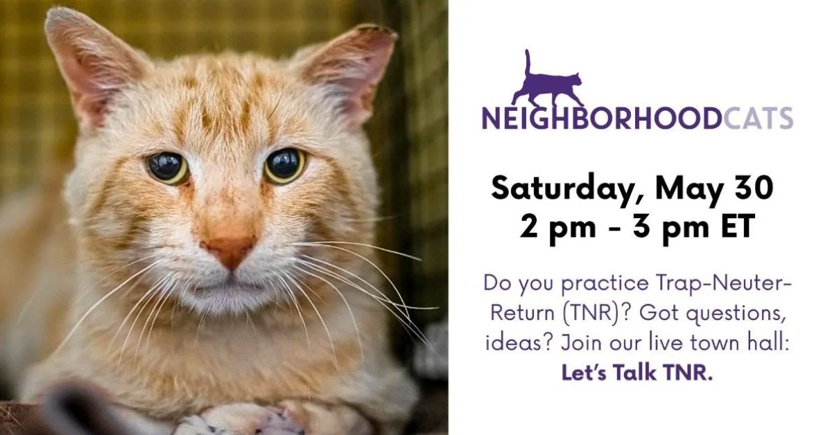 Town Hall: Let's Talk TNR