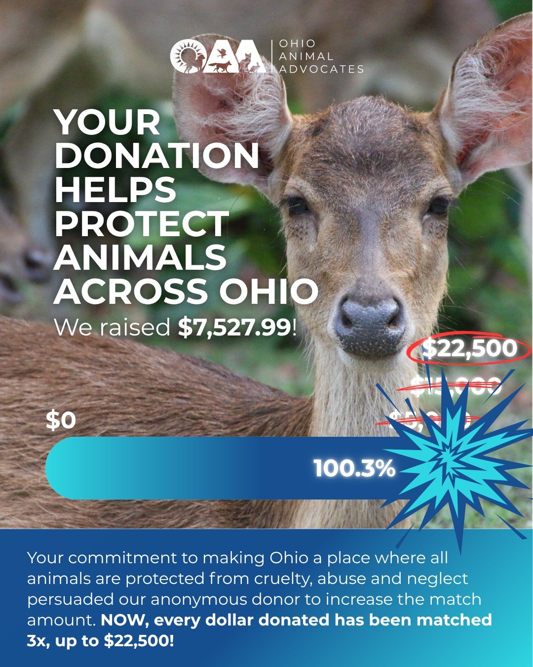 🎉 We did it!

At the start of Giving Week, our goal was $5,000 with a 3x match up to $15,000. Thanks to your incredible support, we exceeded that goal, and our matching donor increased the match to 3x and up to $22,500!

Together, we've raised $7,52