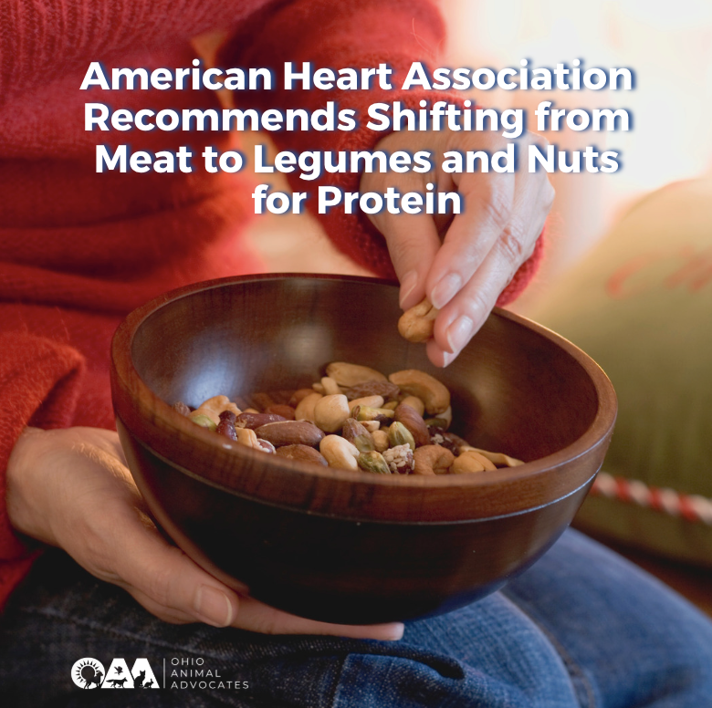 American Heart Association Recommends Shifting from Meat to Legumes and Nuts for Protein
