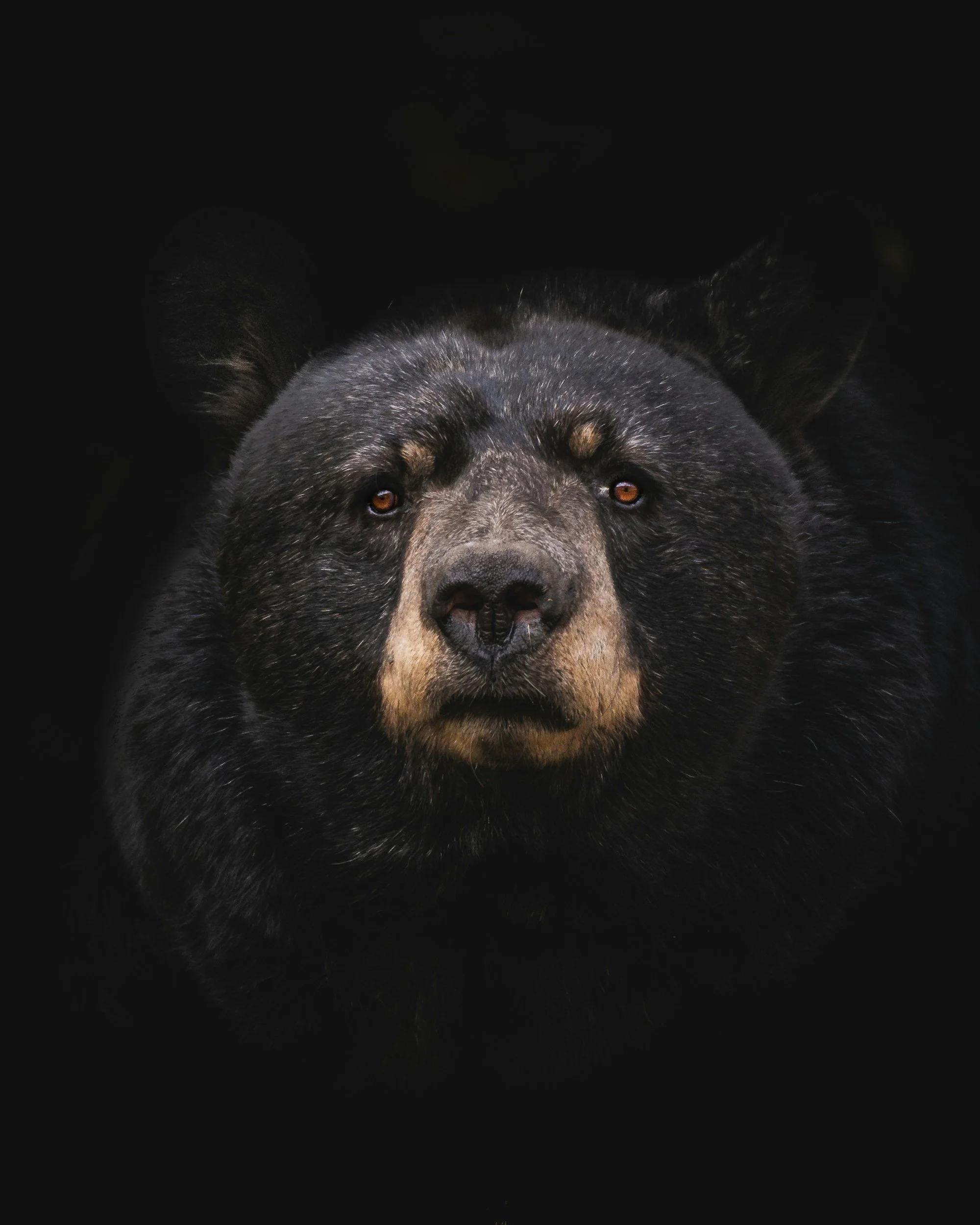 unsplash-image-sI2Dz2dacGI.jpg