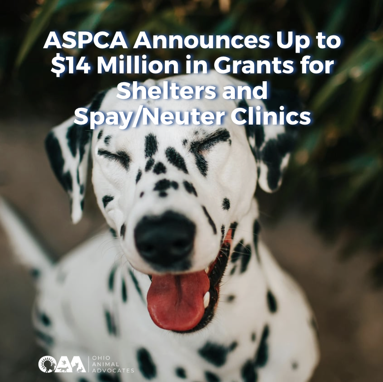 ASPCA Announces Up to $14 Million in Grants for Shelters and Spay/Neuter Clinics