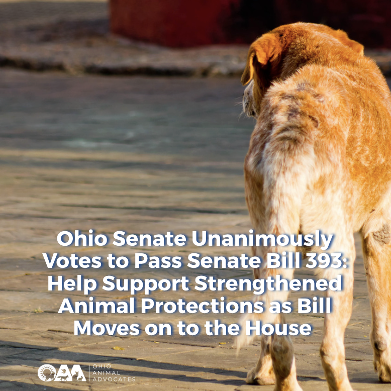 Ohio Senate Unanimously Votes to Pass Senate Bill 393: Help Support Strengthened Animal Protections as Bill Moves on to the House&nbsp;