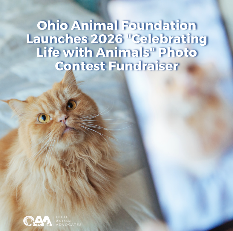 Ohio Animal Foundation Launches 2026 "Celebrating Life with Animals" Photo Contest Fundraiser