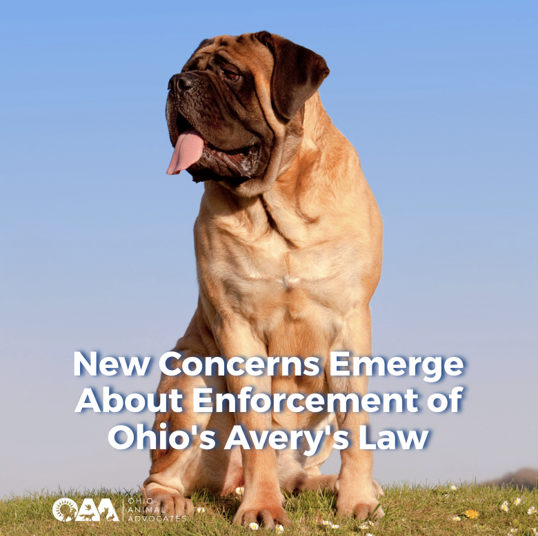 New Concerns Emerge About Enforcement of Ohio's Avery's Law