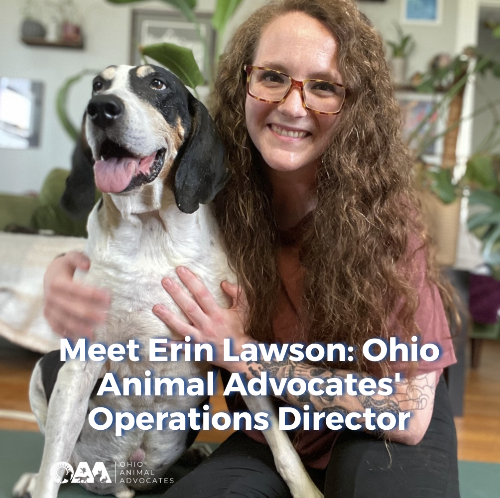 Meet Erin Lawson: Ohio Animal Advocates' Operations Director