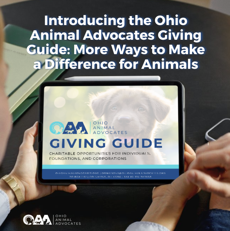 Introducing the Ohio Animal Advocates Giving Guide: More Ways to Make a Difference for Animals