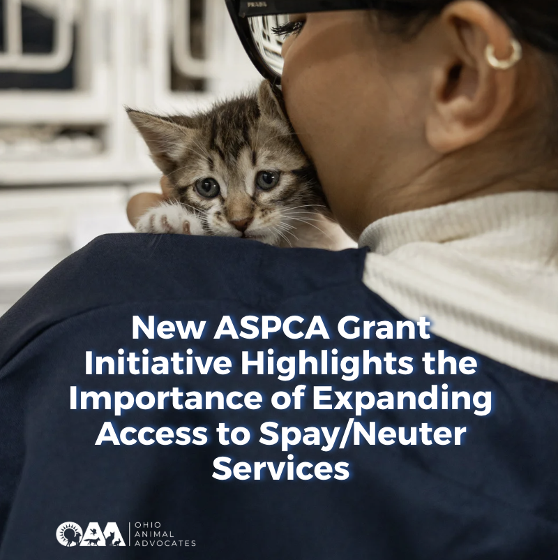 New ASPCA Grant Initiative Highlights the Importance of Expanding Access to Spay/Neuter Services