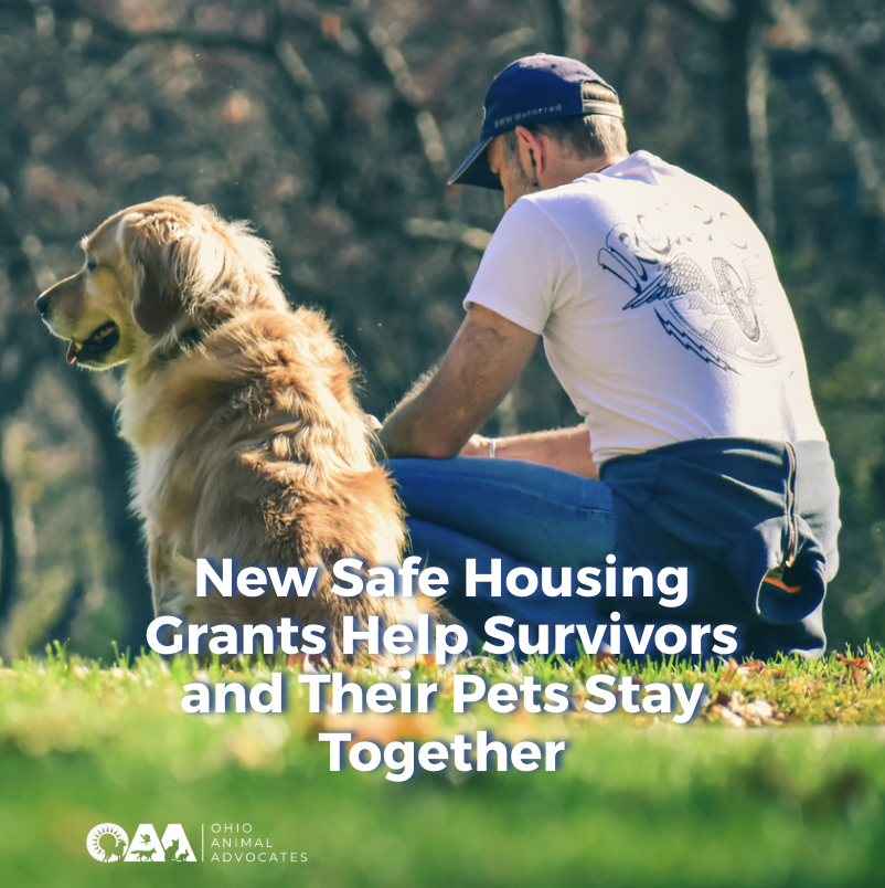 New Safe Housing Grants Help Survivors and Their Pets Stay Together
