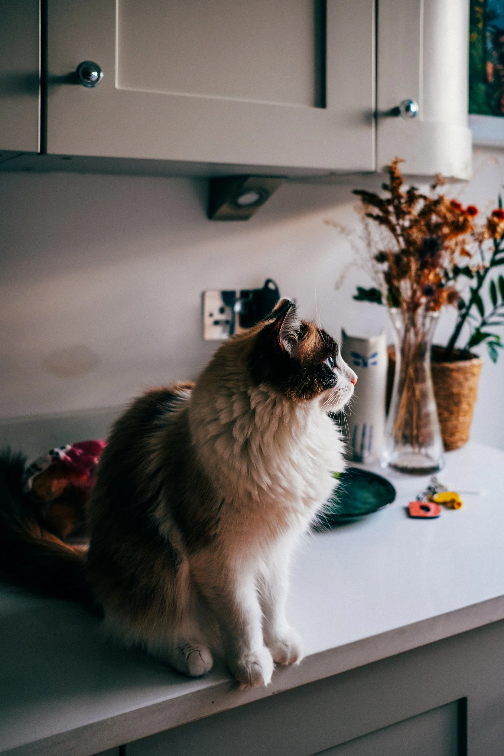 unsplash-image-uexA4lXAUmc.jpg