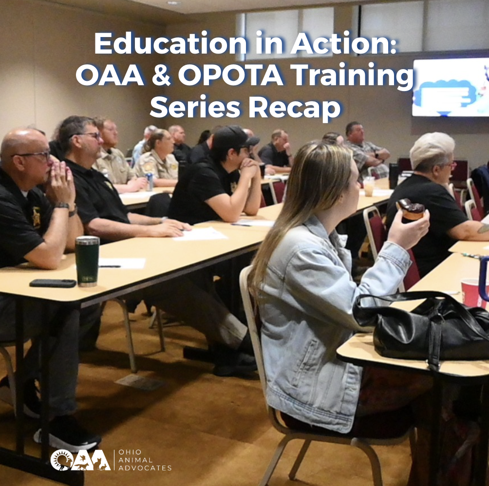 Education in Action: OAA &amp; OPOTA Training Series Recap