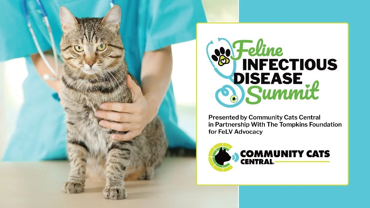 Feline Infectious Disease Summit 2026