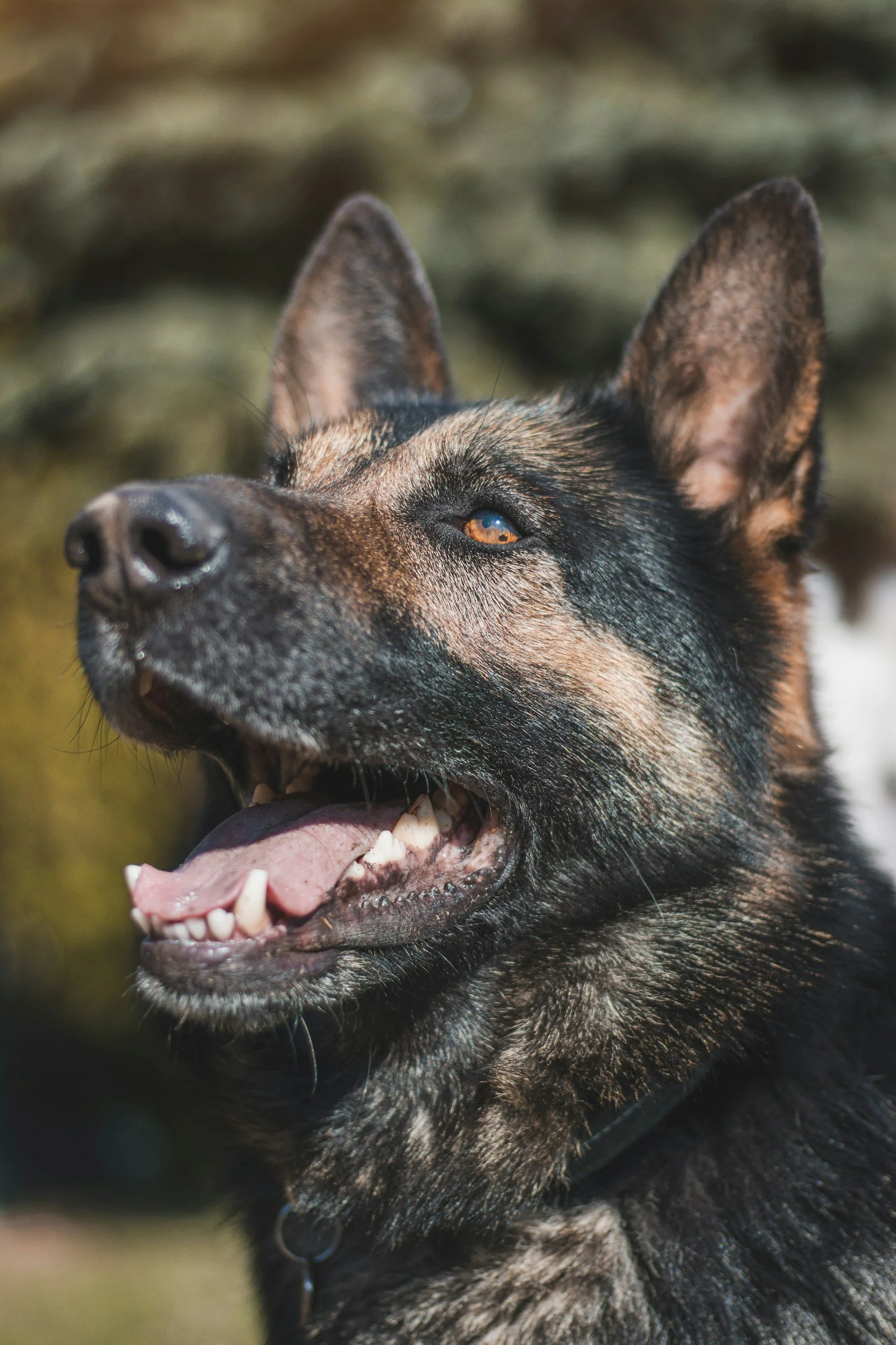 unsplash-image-kvwkpNwwc74.jpg