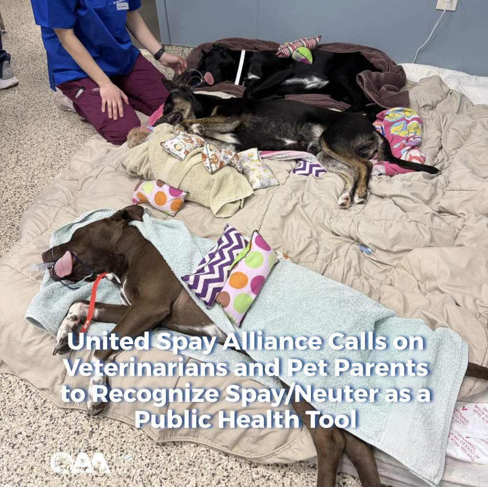 United Spay Alliance Calls on Veterinarians and Pet Parents to Recognize Spay/Neuter as a Public Health Tool