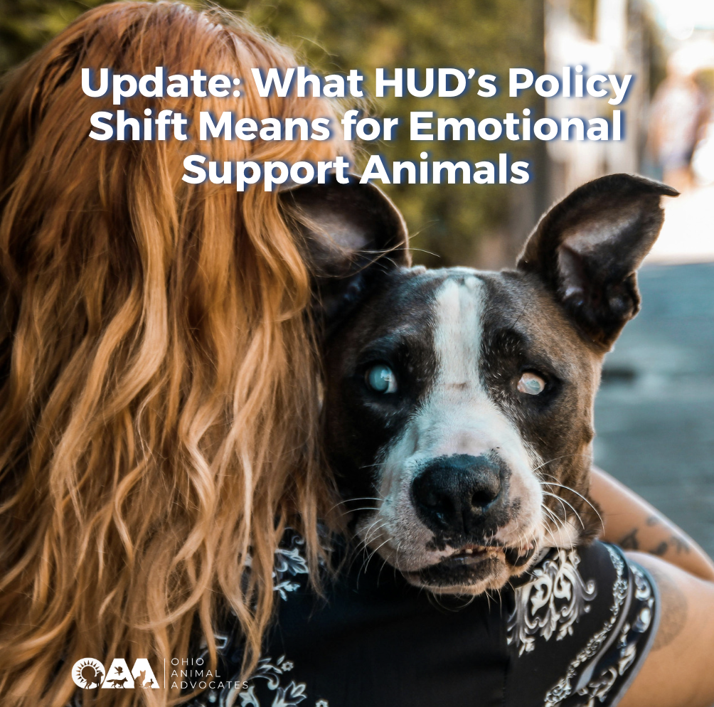 Update: What HUD’s Policy Shift Means for Emotional Support Animals
