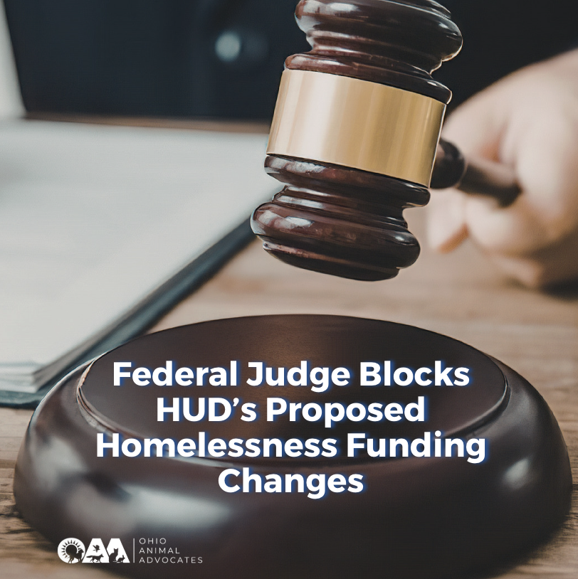 Federal Judge Blocks HUD’s Proposed Homelessness Funding Changes