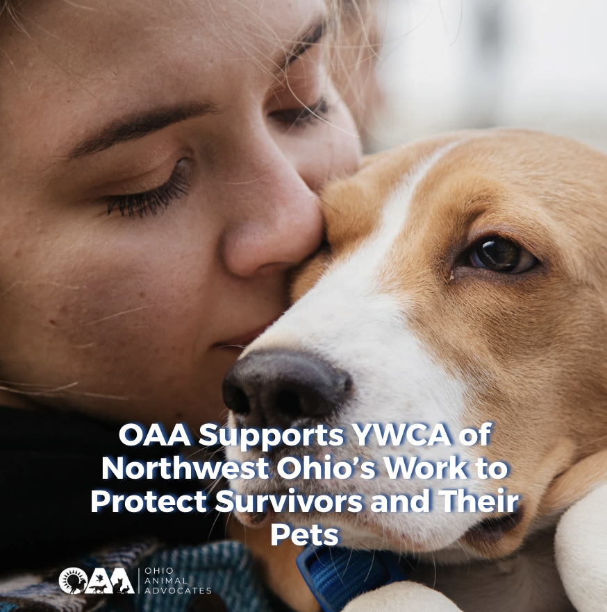 OAA Supports YWCA of Northwest Ohio’s Work to Protect Survivors and Their Pets