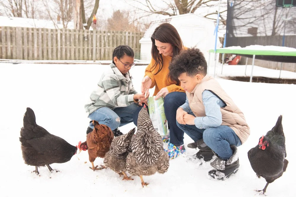 woman-and-two-children-feeding-chickens-in-snow.jpg