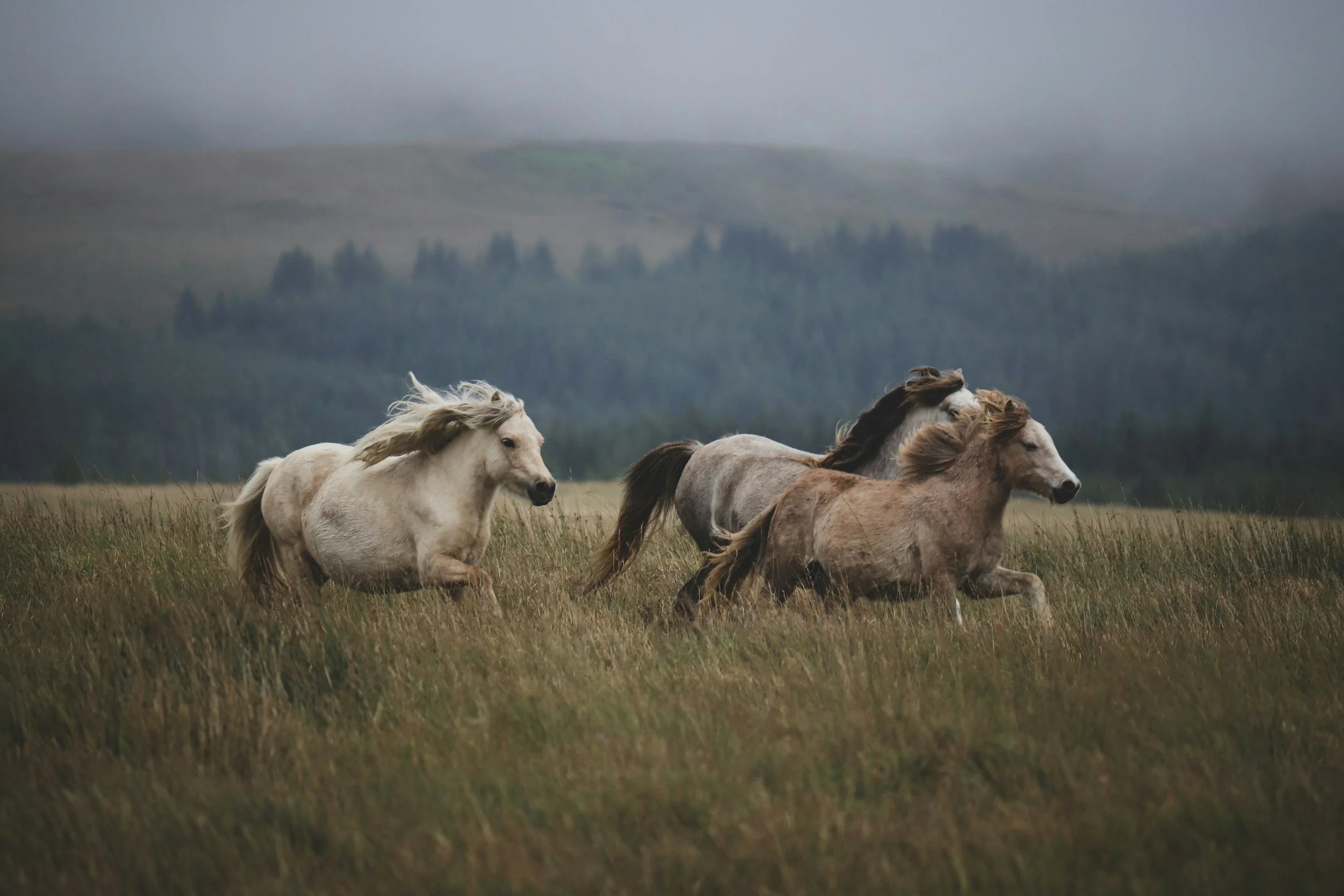 unsplash-image-AyN6tAW5X8g.jpg