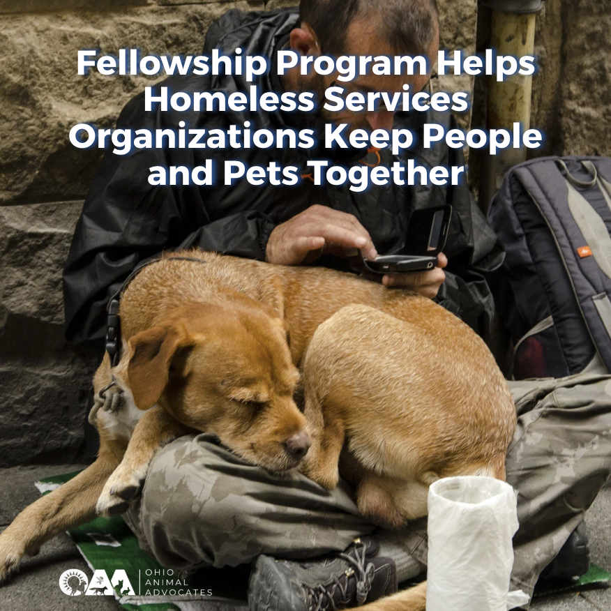 Fellowship Program Helps Homeless Services Organizations Keep People and Pets Together
